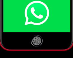 В десктопном WhatsApp появилась поддержка сканеров лица и отпечатков пальцев