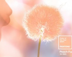 Институт цвета Pantone представил главный оттенок 2024 года