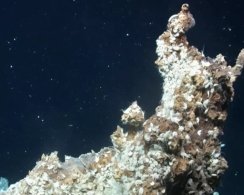 Оазис за Полярным кругом: учёные нашли гидротермальные очаги на глубине 3 километра