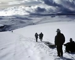 В тающем леднике на западе Китая обнаружили около 1 700 древних вирусов