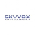 Логотип Skyvox